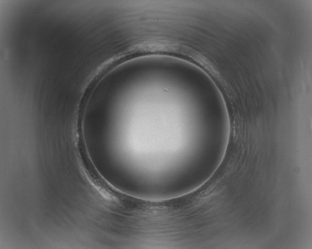 X0000074950438200609011124