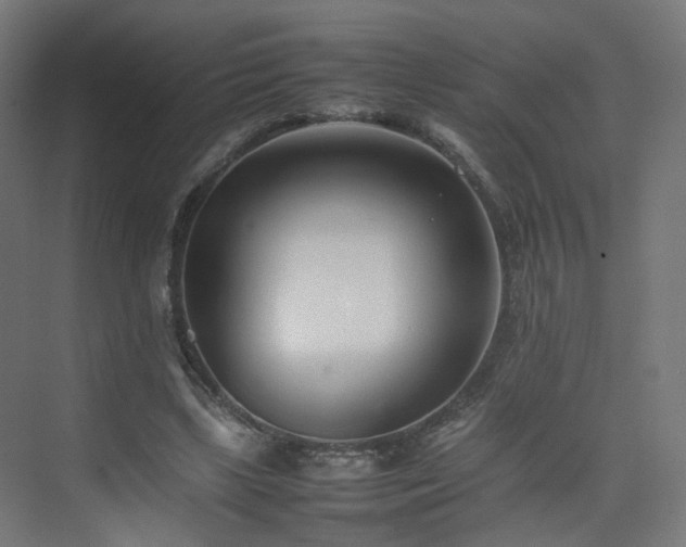 X0000074950443200609011125