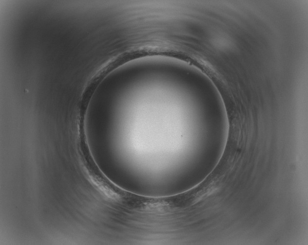 X0000074950446200609011125