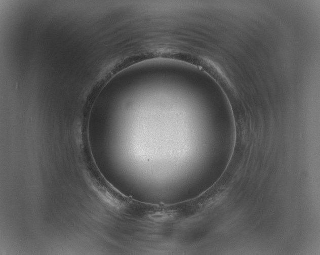 X0000074950447200609011125