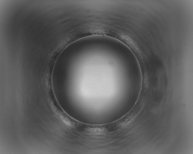 X0000074950449200609011125