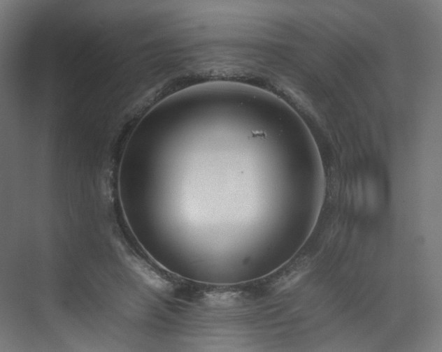 X0000074950450200609011125