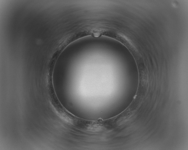 X0000074950451200609011125