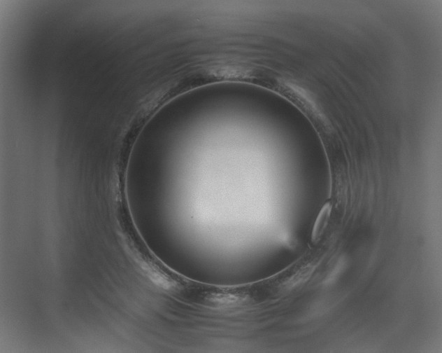 X0000074950453200609011125