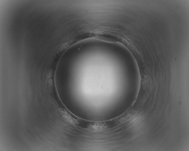 X0000074950466200609011125