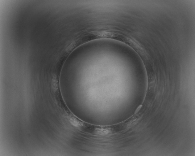 X0000074950469200609011125