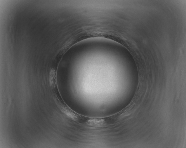 X0000074950480200609011125
