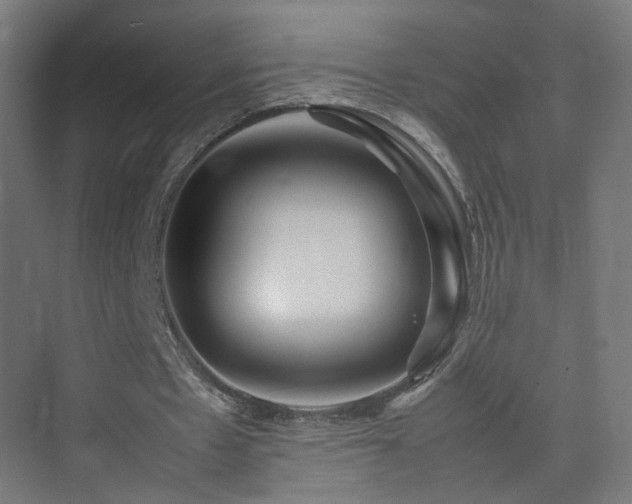 X0000074950481200609011124