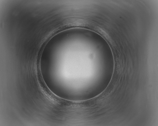 X0000074950482200609011124