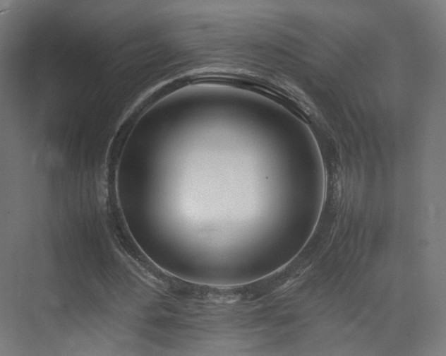 X0000074950484200609011124