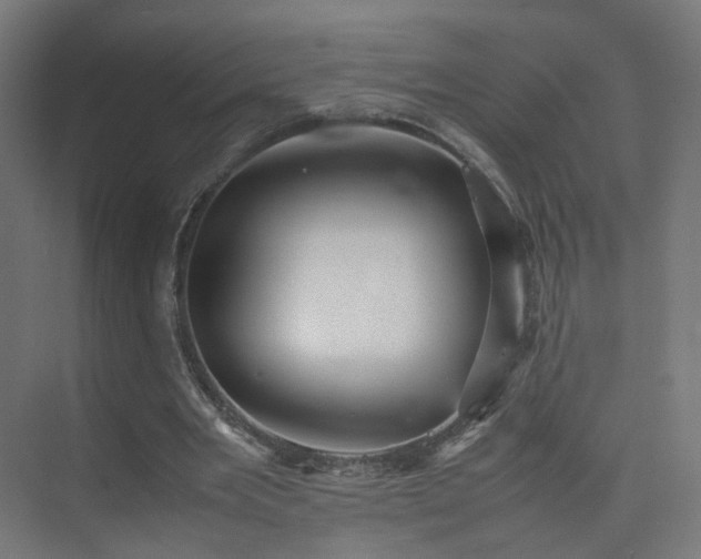 X0000074950485200609011124