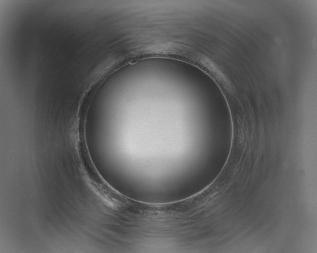X0000074950486200609011124