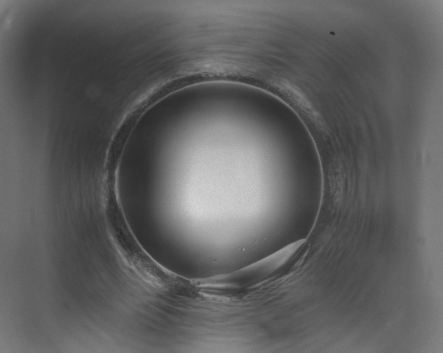 X0000074950488200609011124