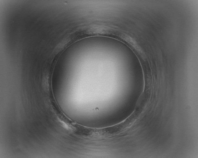 X0000074950489200609011124