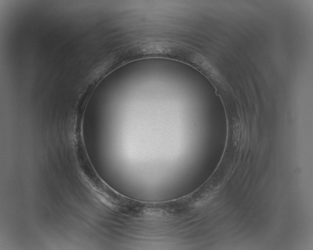 X0000074950490200609011124