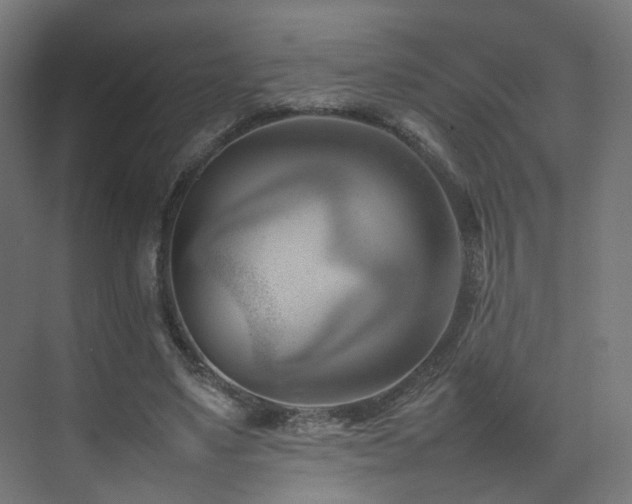 X0000074950491200609011124