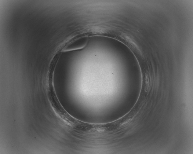 X0000074950492200609011124