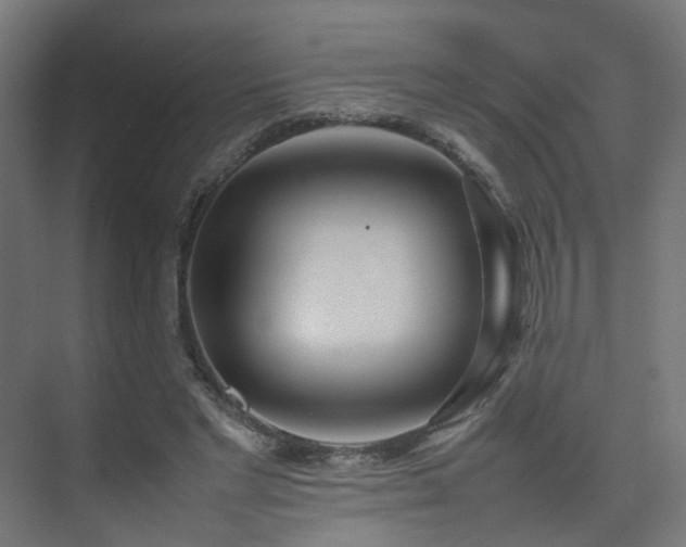X0000074950493200609011124