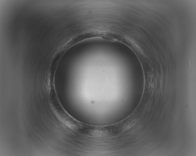X0000074950494200609011124