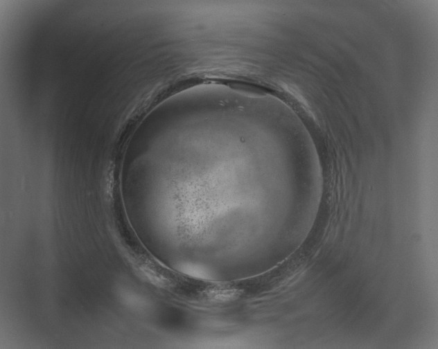 X0000074950495200609011124
