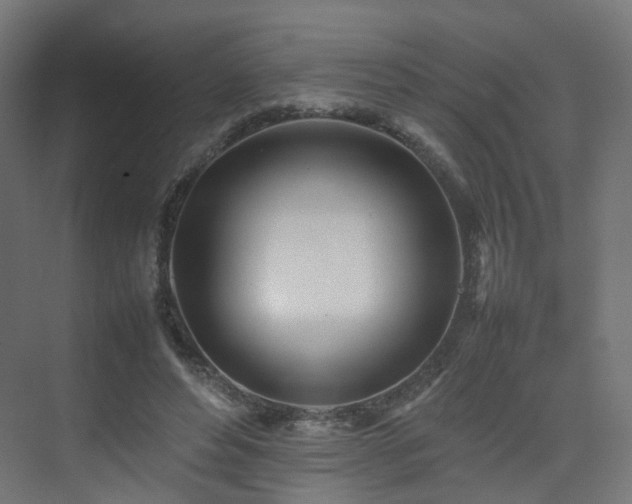 X0000074950496200609011124