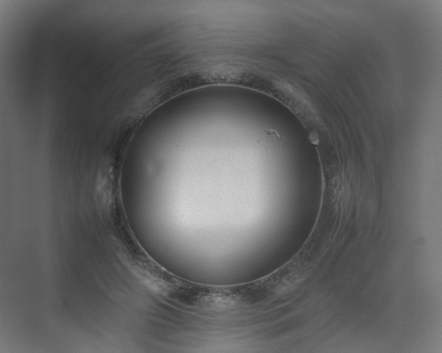 X0000074950498200609011124