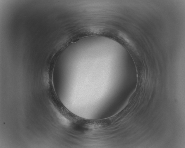 X0000074950500200609011124