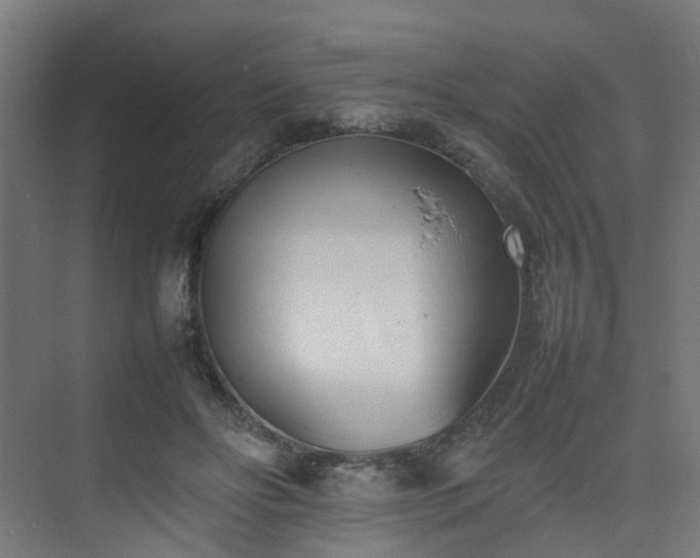 X0000074950502200609011124