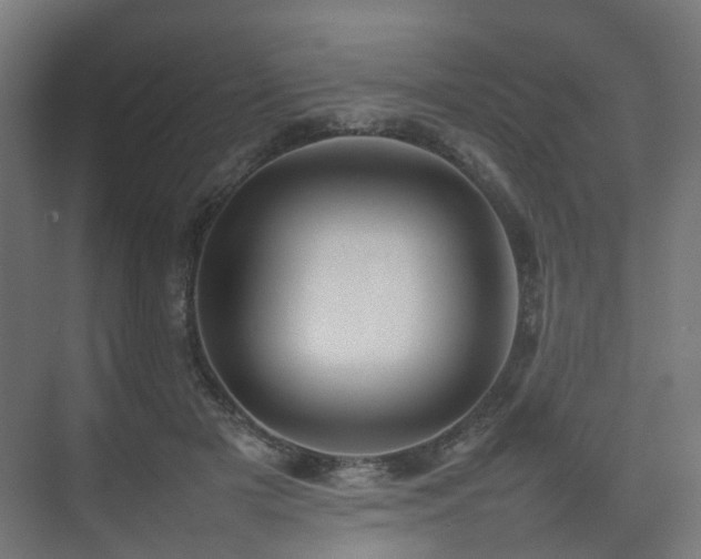X0000074950505200609011124