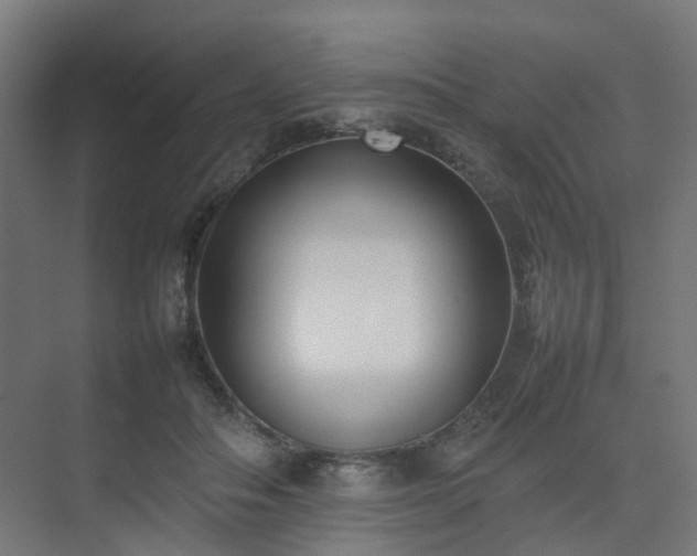 X0000074950506200609011124