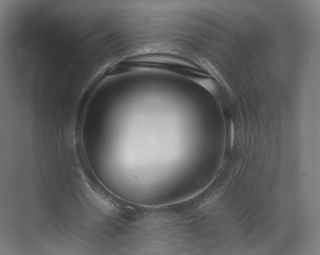 X0000074950530200609011123