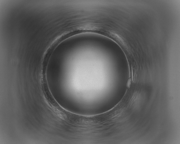 X0000074950531200609011123