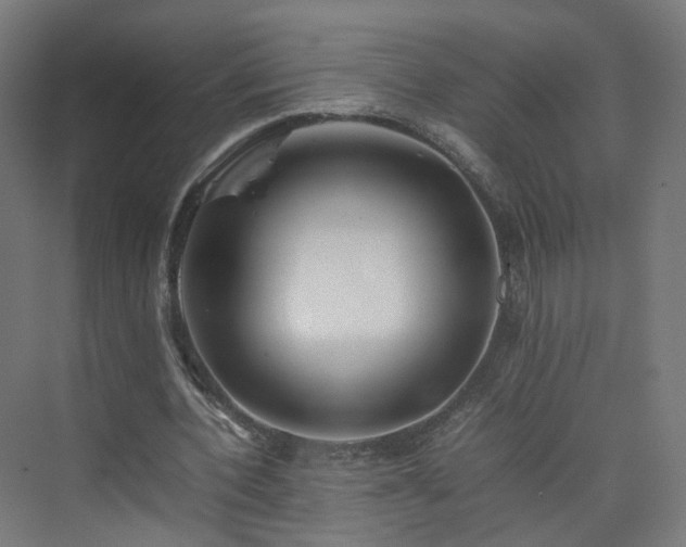 X0000074950532200609011123