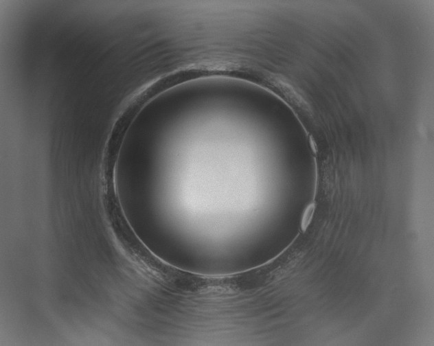 X0000074950536200609011123
