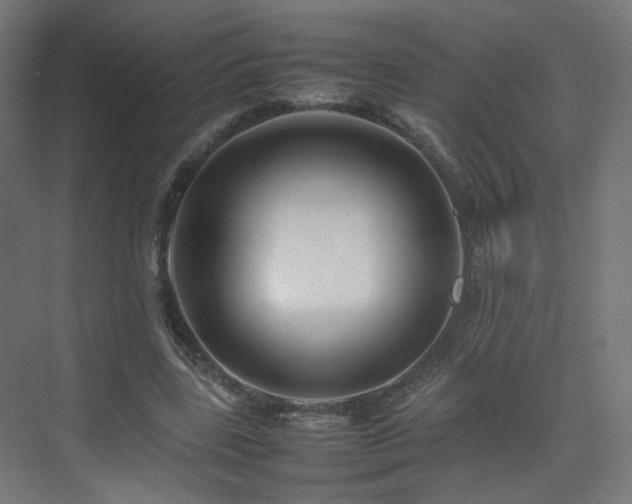 X0000074950539200609011123