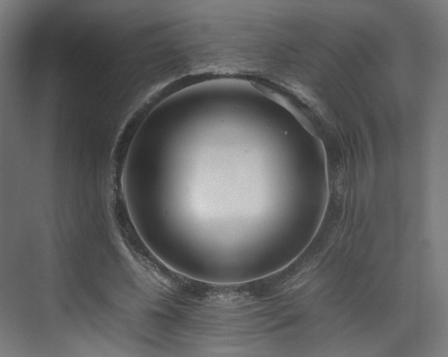 X0000074950540200609011123