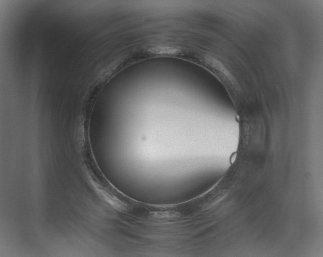 X0000074950541200609011123