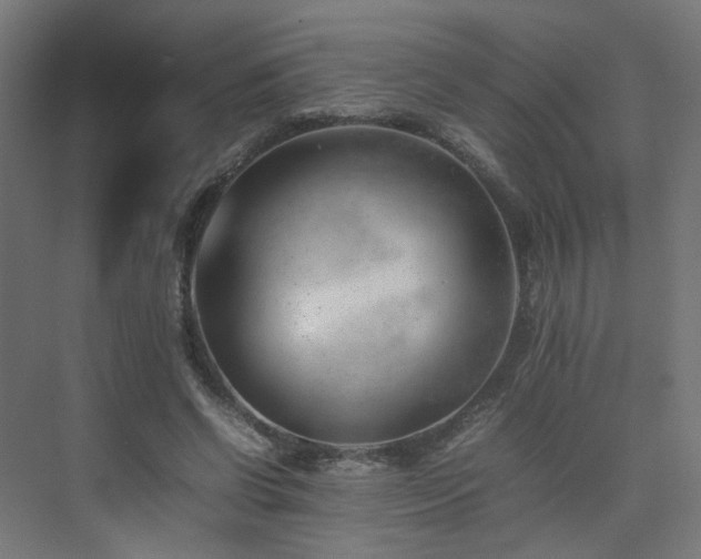 X0000074950542200609011123