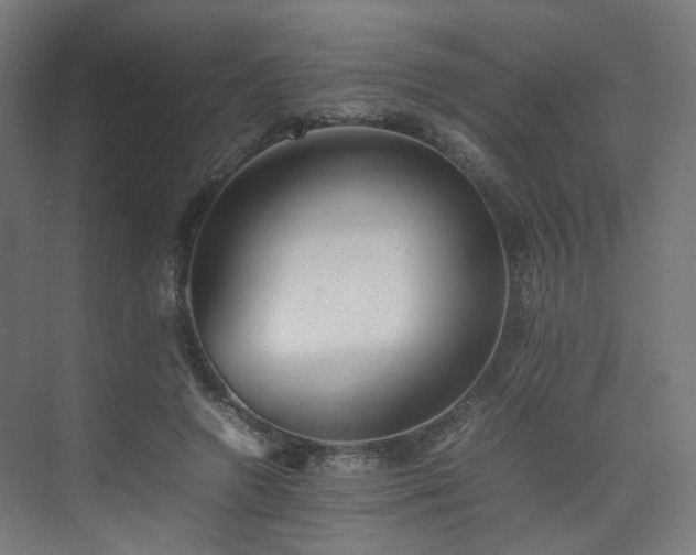 X0000074950546200609011123