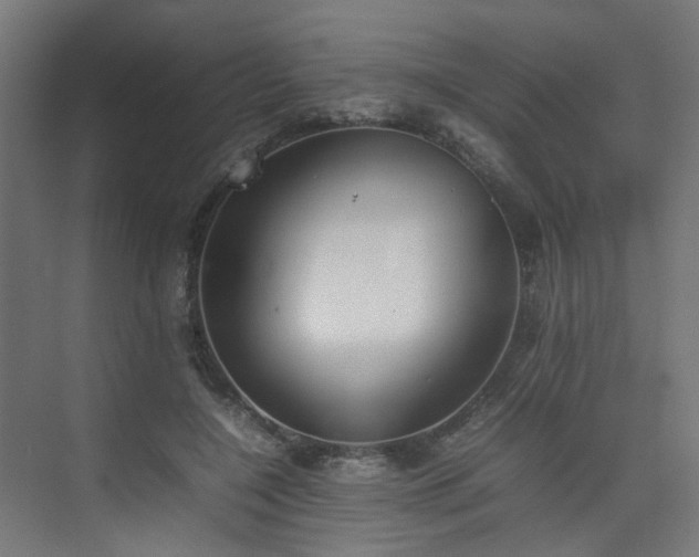 X0000074950548200609011123