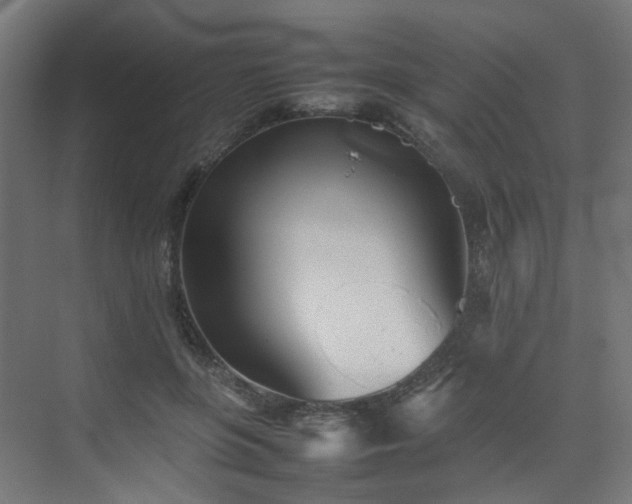 X0000074950551200609011123