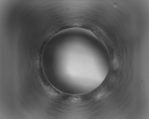 X0000074950552200609011123