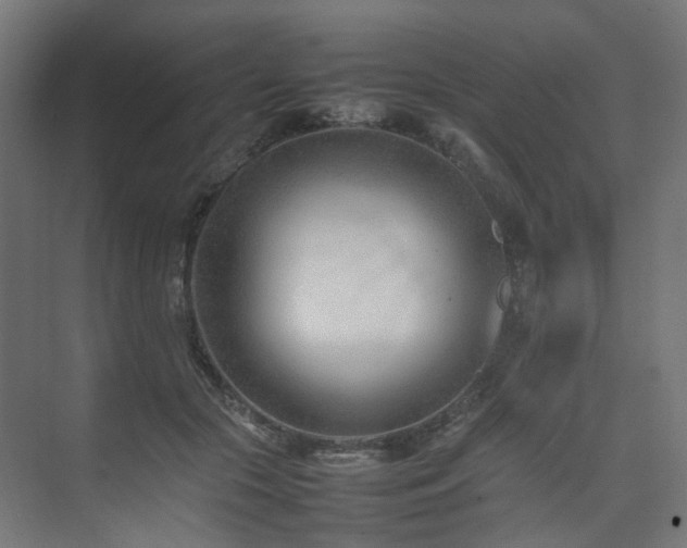 X0000074950553200609011123