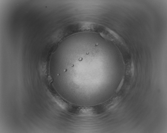 X0000074950560200609011123