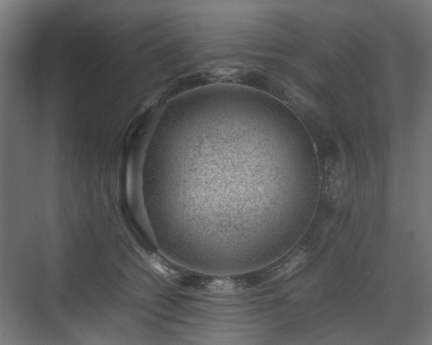 X0000074950562200609011123