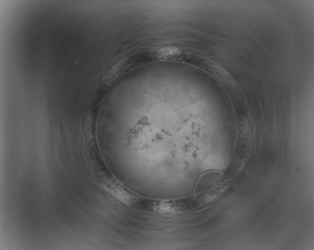 X0000074950565200609011123