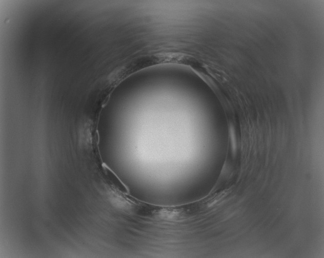 X0000074950570200609011123