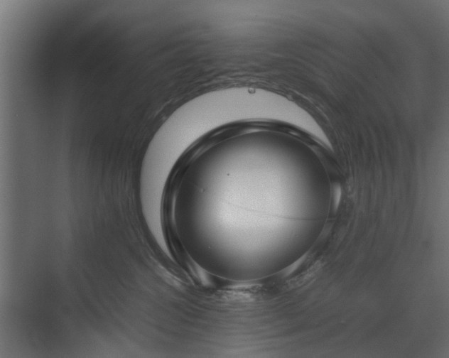 X0000074950572200609011123