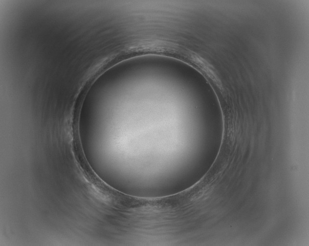 X0000074950578200609011123
