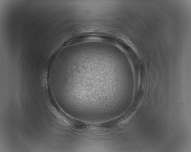 X0000074950585200609011123